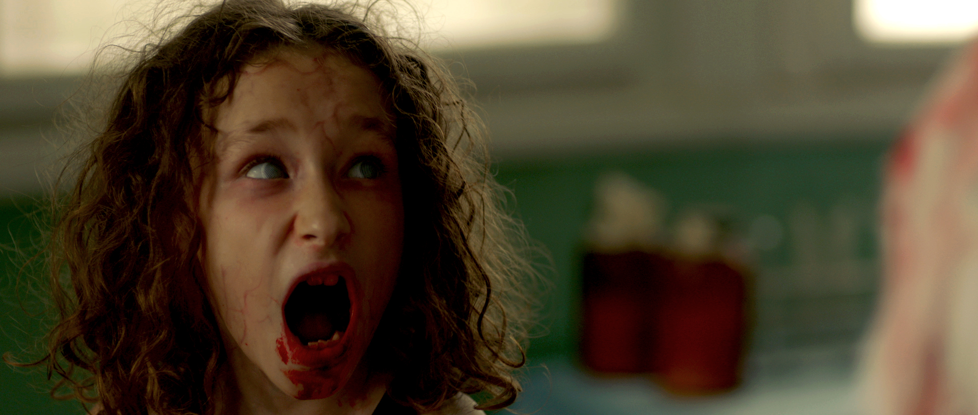 Posljednji Srbin u Hrvatskoj